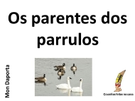 Parrulos e os seus parentes (2)